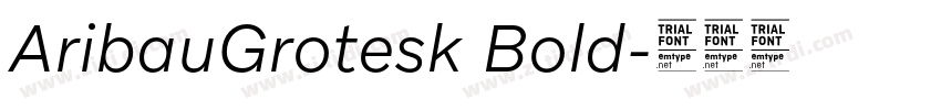 AribauGrotesk Bold字体转换